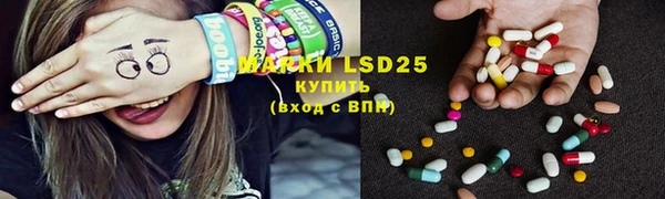 шишки Ельня