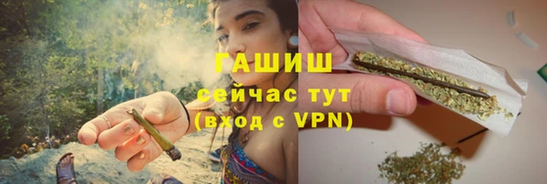шишки Ельня