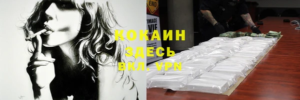 шишки Ельня