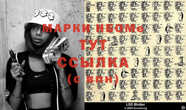 шишки Ельня