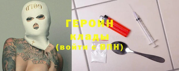 шишки Ельня
