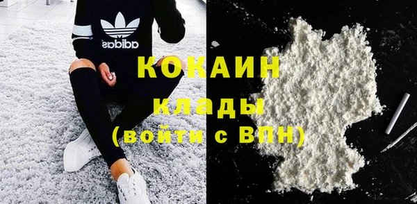 шишки Ельня