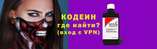 шишки Ельня
