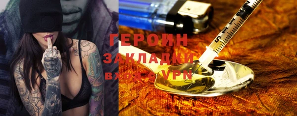 шишки Ельня