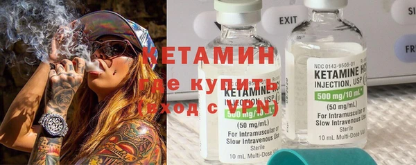 шишки Ельня