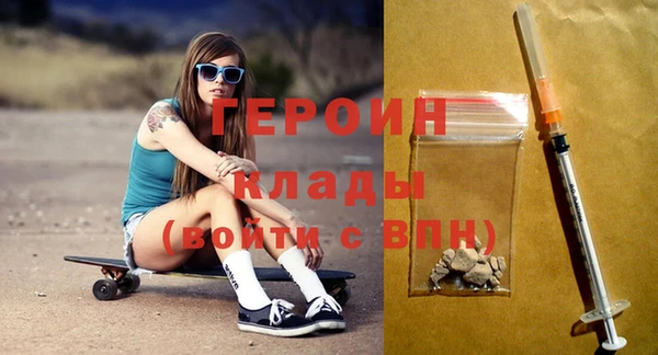 шишки Ельня