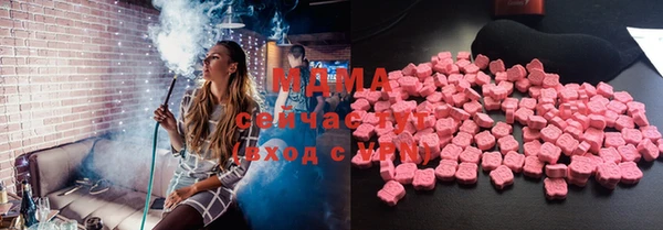 шишки Ельня