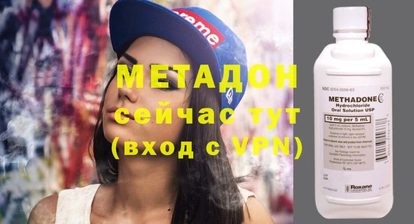 шишки Ельня