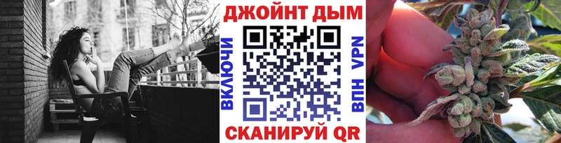 где купить наркоту  Судогда  Бошки марихуана конопля 